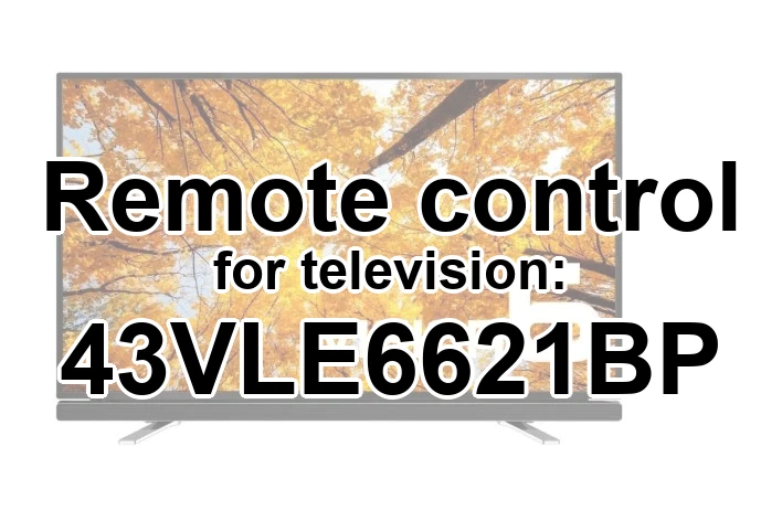 Grundig 43VLE6621BP replacement remote control different look
