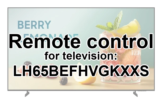 Samsung LH65BEFHVGKXXS original remote control