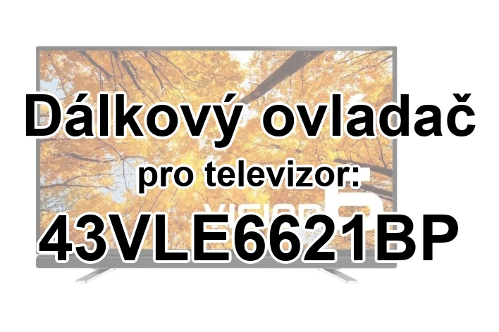 Grundig 43VLE6621BP náhradní dálkový ovladač pro seniory