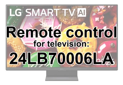 LG 24LB70006LA replacement remote control different look