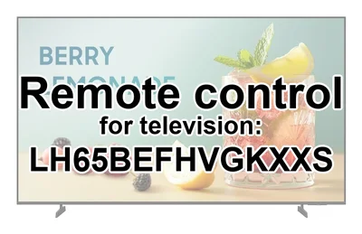 Samsung LH65BEFHVGKXXS replacement remote control for seniors